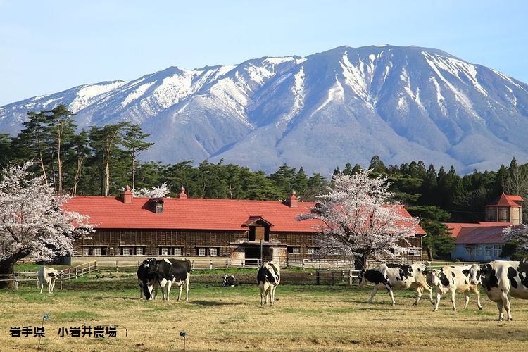 jalpakcojp's tweet image. /
Base!TOHOKU
~さぁ、豊かさの最前線へ~
\
東北の自然・グルメ・温泉を
体感しよう‼️
宿泊施設を「拠点(BASE)」とした豊かな旅で、東北の魅力をたっぷり満喫できる
チャンス💫
ご利用条件クリアで、1グループにつき3,000円割引✨
▼詳細・ご予約はこちら
jal.co.jp/jp/ja/domtour/…
