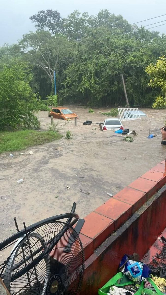 marescamilla's tweet photo. TAMAZUNCHALE,  SLP.- Durante la tarde de este dia incesante lluvia desbordó un arroyo e inundó a la colonia Loma  Bonita, afortunadamente solo se registraron perdidas materiales. https://t.co/UNhreP4Ajq