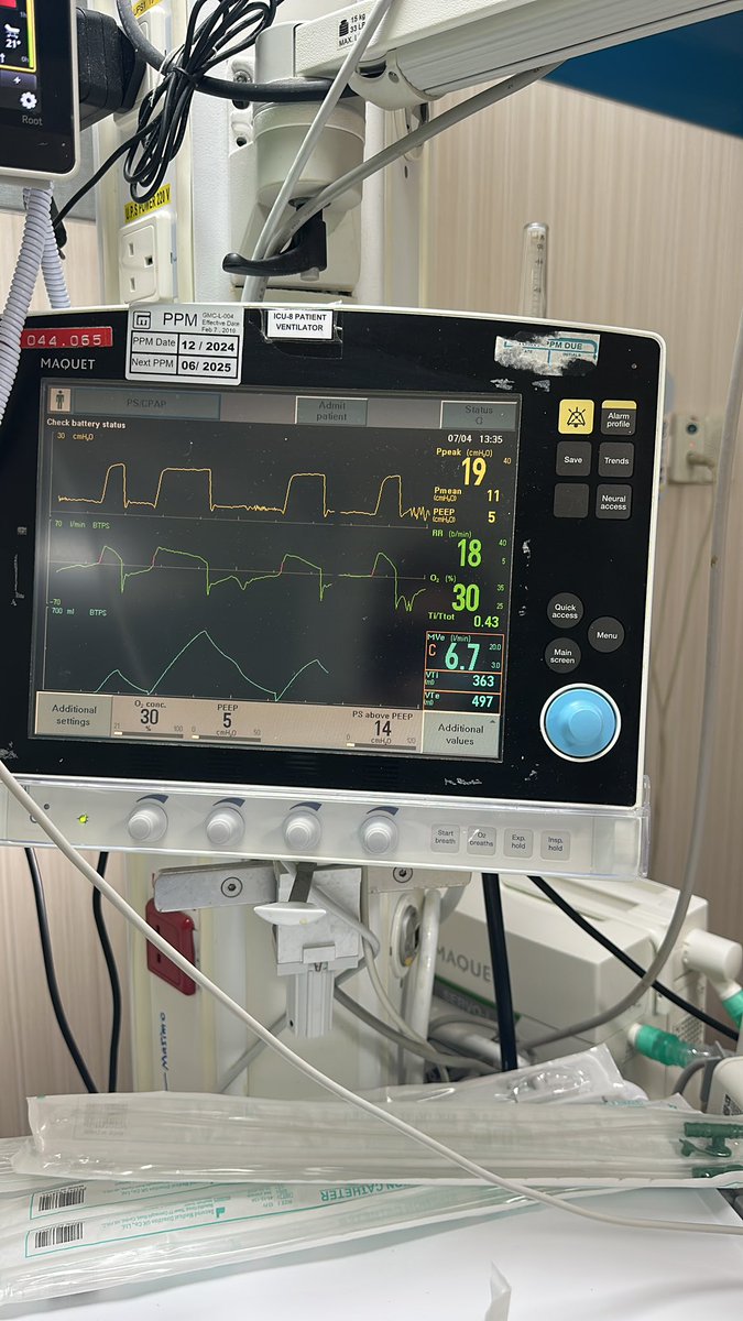 noran tweet media