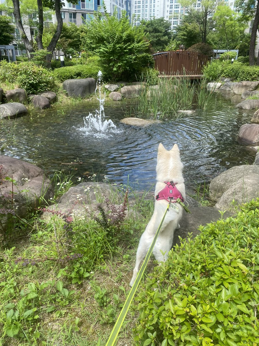 시각정보수집중