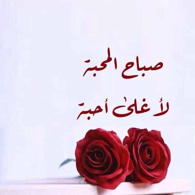 •إلى كل من يحمل قلبًا طيبًا، 
أتمنى له يومًا مليئًا بالراحة والسعادة 🌹🫶

#صباح_الخير