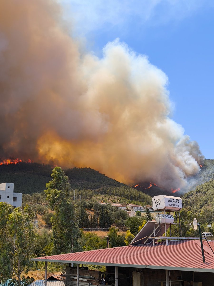 Hatay, serinyol 
#yangın