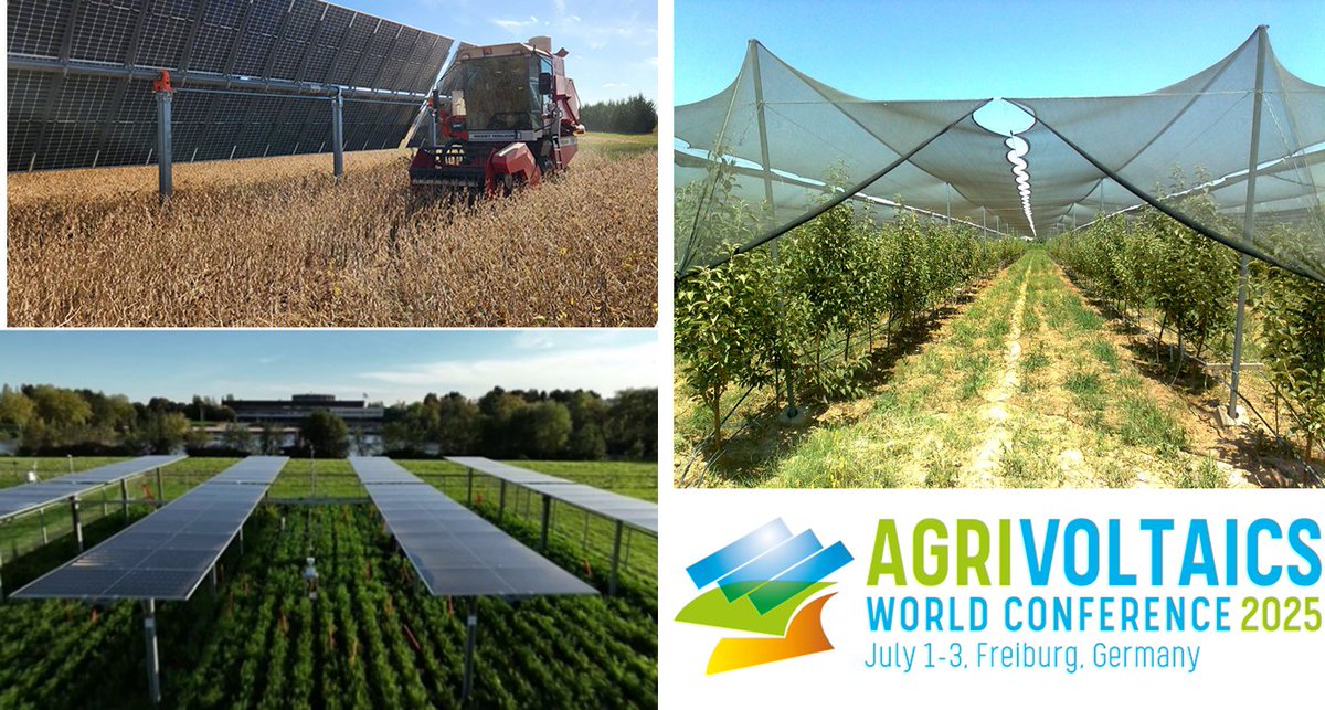 chustepa's tweet photo. 🌿 Agrivoltaics stands out by offering dynamic shading, adaptable to plant needs &amp; weather.
📍 These topics are hot at #AgriVoltaics2025 in Freiburg this week — where science meets the field.
🎬 More ideas coming soon. Stay tuned.
#ClimatoSapiens #AgriPV https://t.co/CXc6ZcpTa3