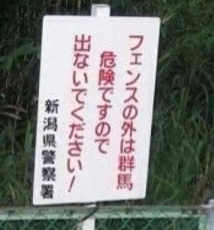 <a href="/tokotoko4000/">フルフル</a>