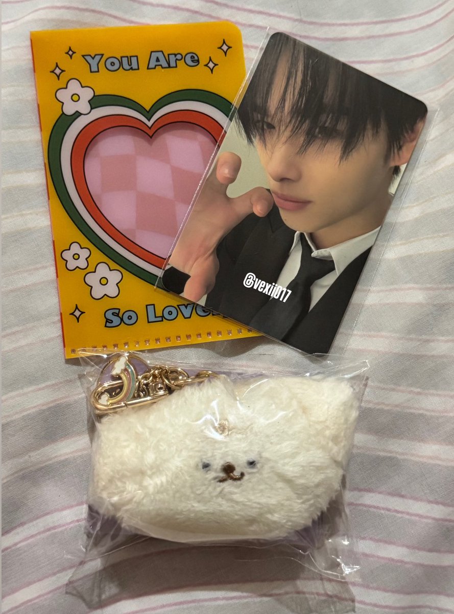 vexii017's tweet photo. so cutsie! thank you so much for bringing ni-ki home 🥹 @lajibolalacart 

#lajibolalacartfeedbacks https://t.co/2lZqsIAR8U