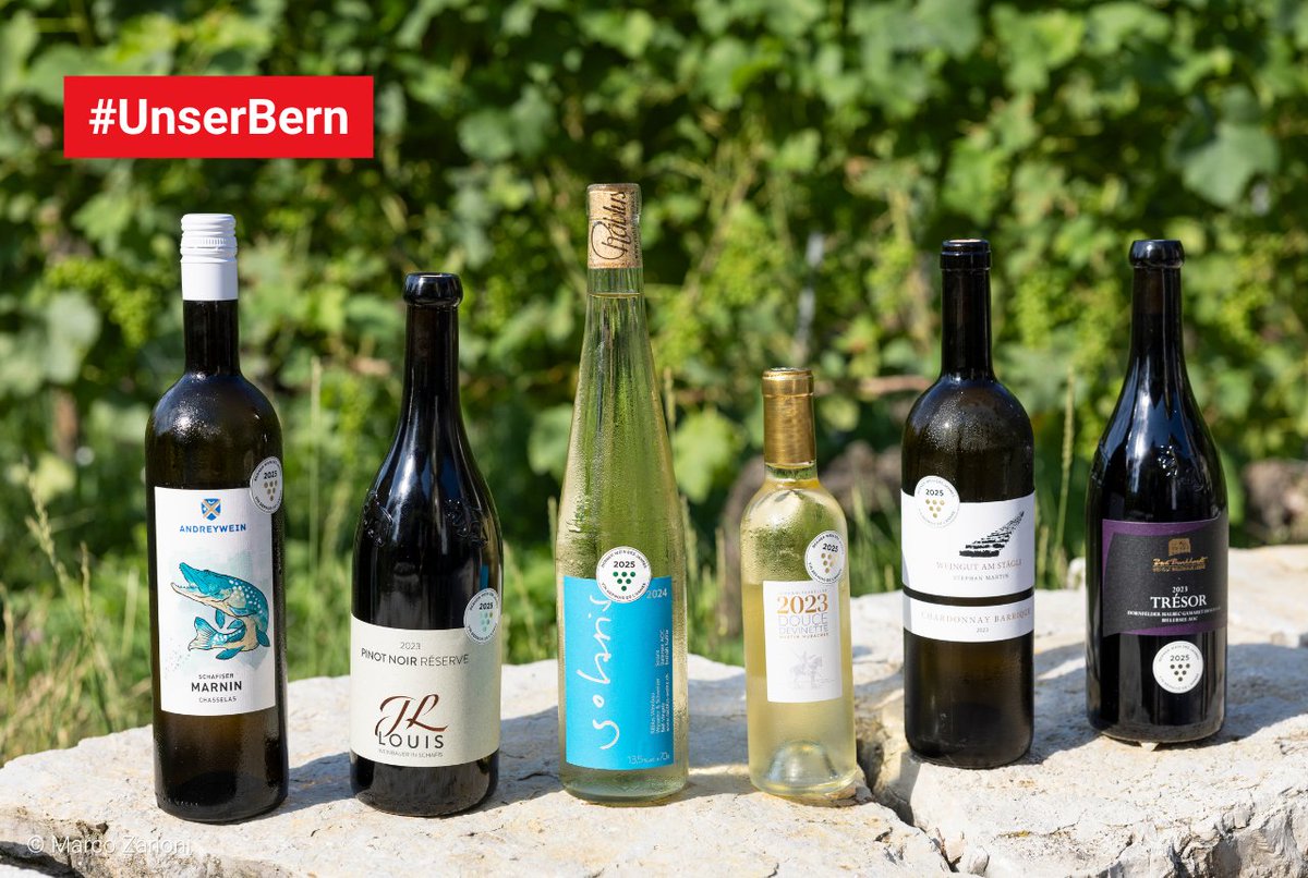 Die besten Berner Weine 2025 sind gekürt. Den Titel «Berner Winzer des Jahres 2025» holte Martin Hubacher aus Twann. 

Alle prämierten Weine ➡️  ow.ly/JZyu50WiUIj