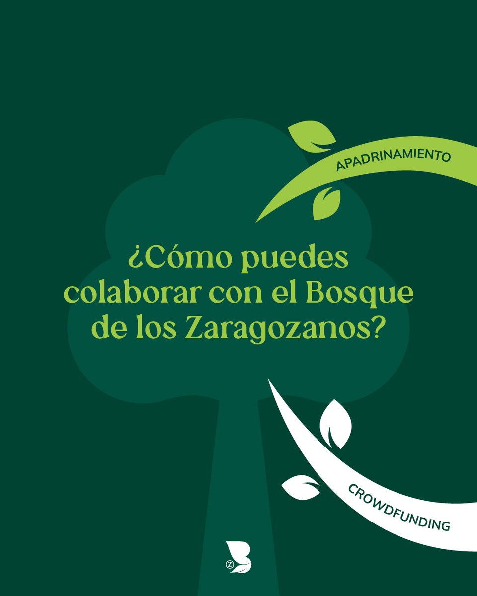 BosqueZaragozanos tweet media
