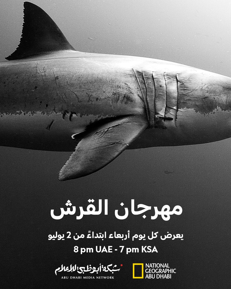 غوصوا في عالم القروش في "مهرجان القروش" ابتداءً من الأربعاء 2 يوليو الساعة 8 مساءً بتوقيت الإمارات على ناشونال جيوغرافيك أبوظبي.