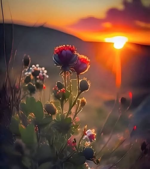 No dejes que la prisa te robe la vida.. el momento más importante no es mañana ....es este ..aquí y ahora..