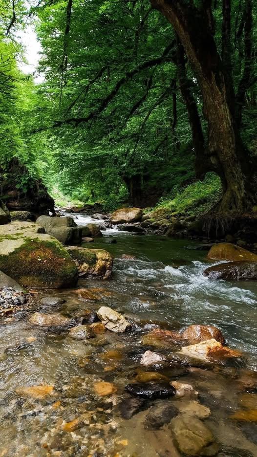 Debemos ser como el río, que fluye y canta a pesar de las piedras que encuentra a su paso. . .