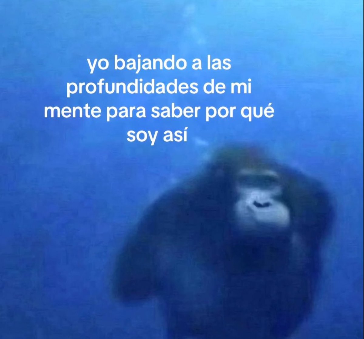 piña sin pizza (@skereunpesado) on Twitter photo 