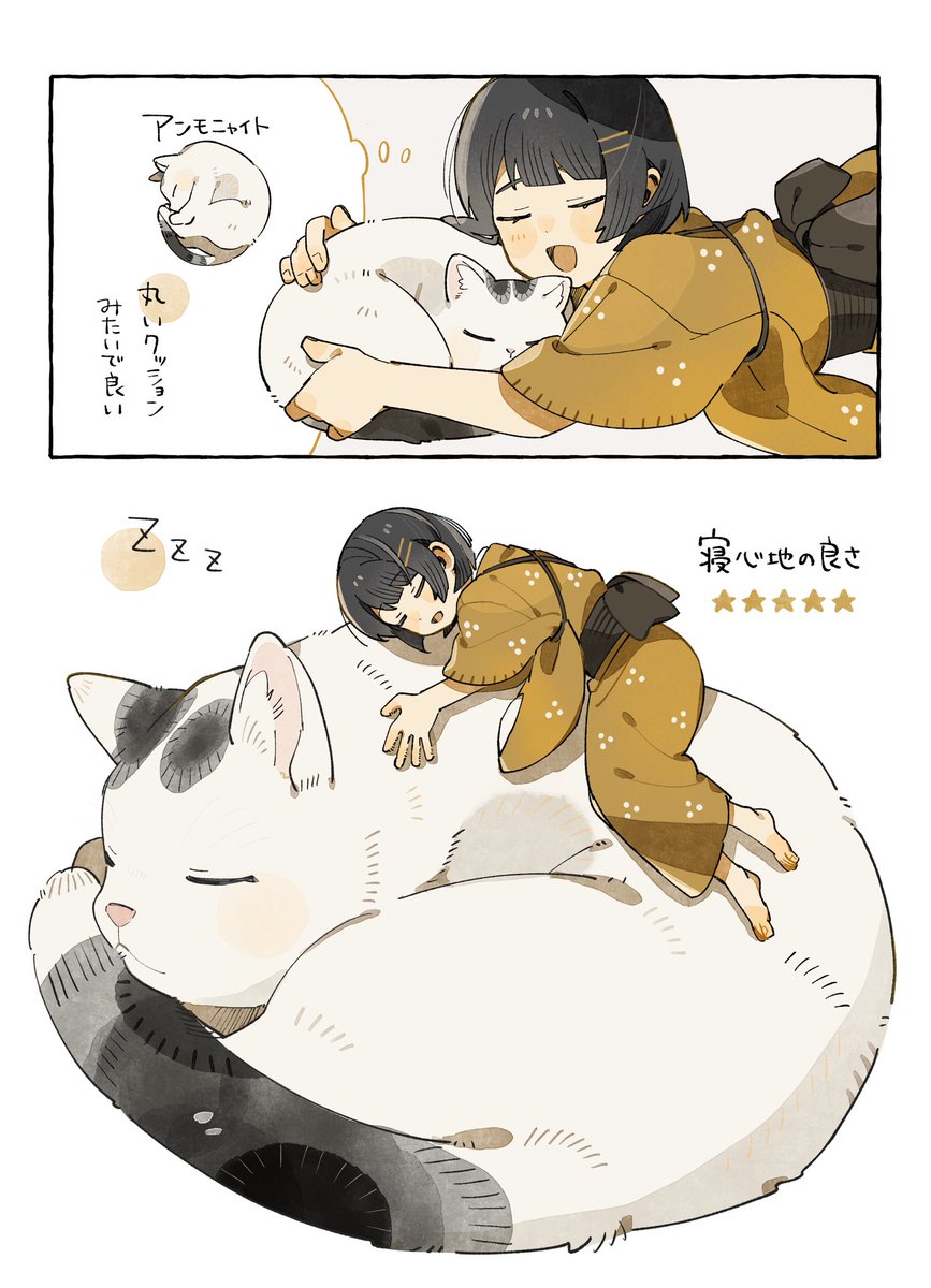 (3/4)🐱 