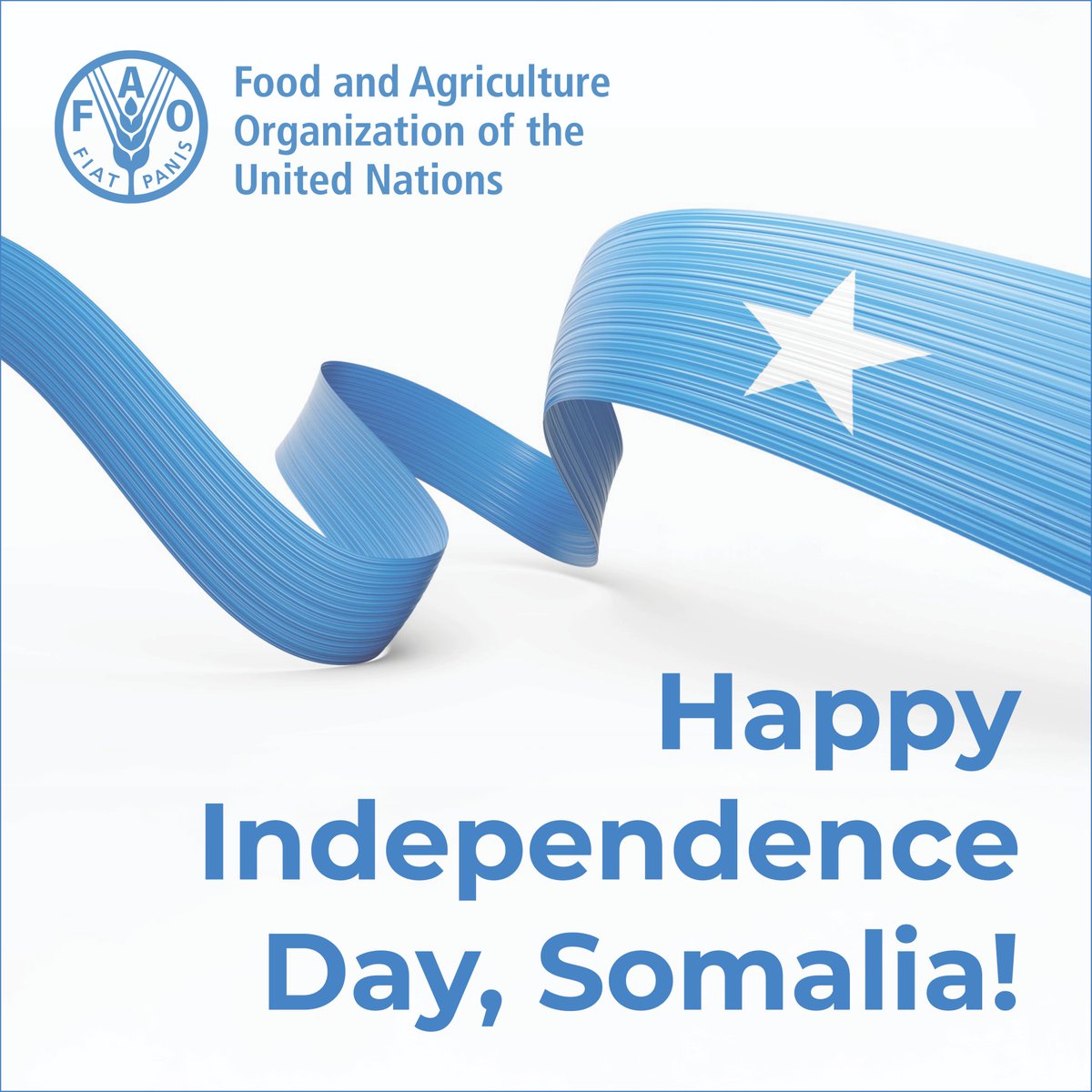 Happy 65th Independence Day, Somalia🇸🇴! 

On this special day, we join the nation in celebrating #SomaliaAt65.

Honouring the resilience and rich heritage of the Somali people, we renew our commitment to building a sustainable agrifood system and a #BetterLife for all.