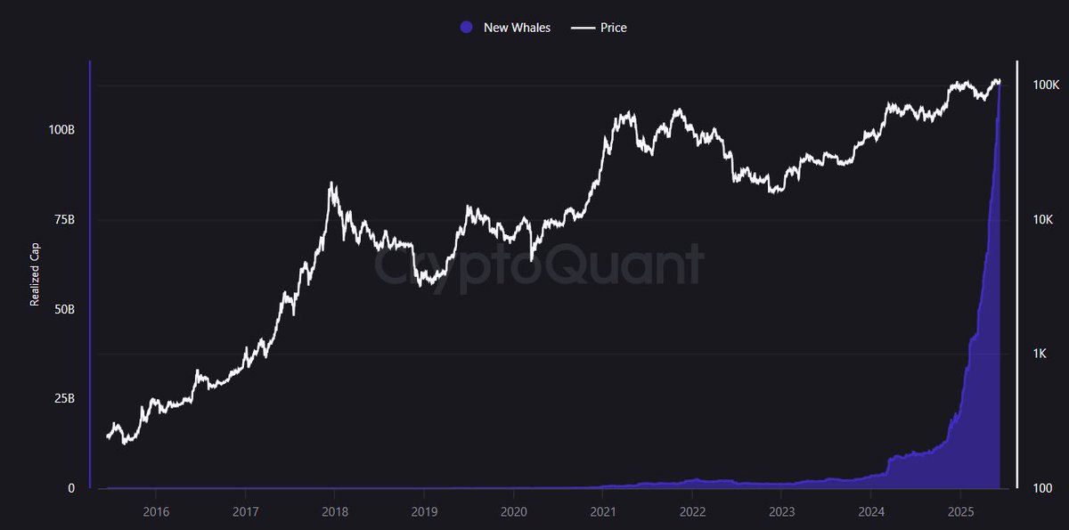 🟧 Buying Spree 🟧

🟠 #Bitcoin is above 100k and the buying hasn't slowed
🟠 Whales are typically Insiders in the know
🟠 the question is, what do they know?

#Crypto #Stocks