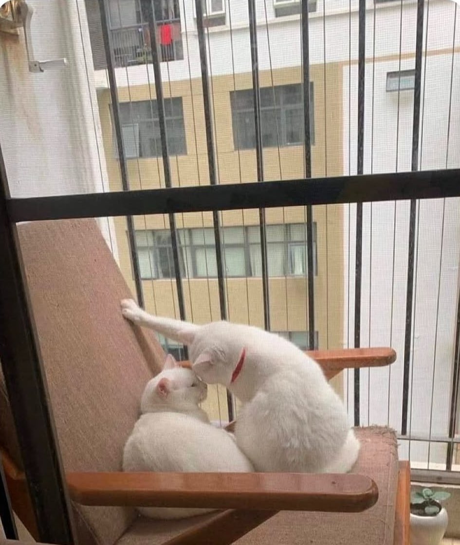 güzelim gözüm senden başkasını görmüyor diyorum niye inanmıyorsun