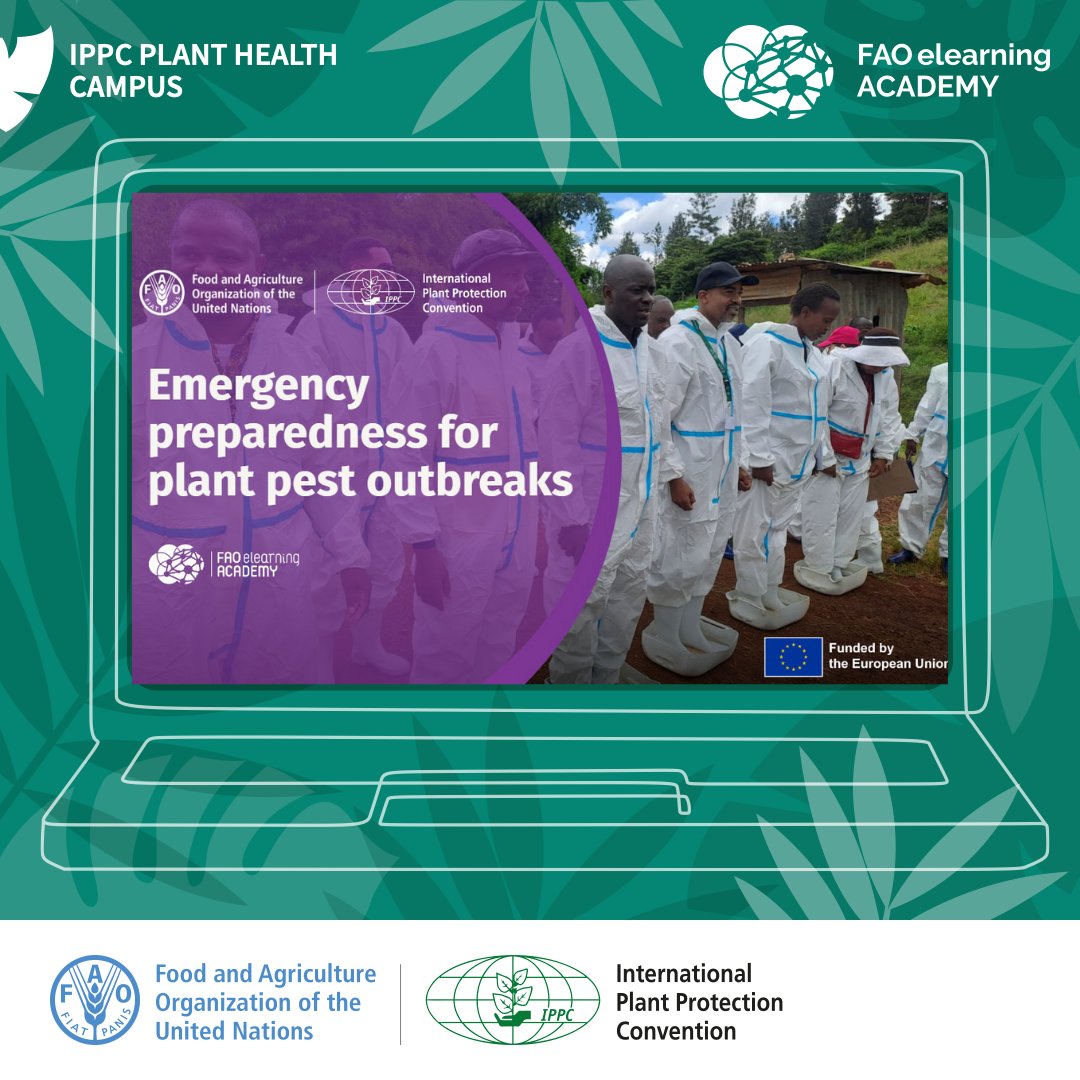 🎓ALERT‼️ New month, new course on the #IPPC Plant Health Campus- “Emergency preparedness for plant pest outbreaks”.

A unique opportunity for plant health professionals + those working in national plant protection organizations, to master 🔑 steps to prevent, anticipate and