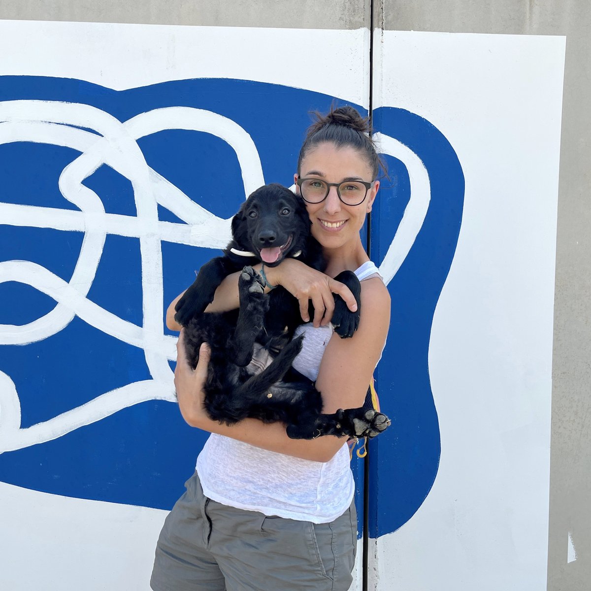 El Refugi dels Peluts (@caaclleida) on Twitter photo Avui ens toca acomiadar el Loki ❤️
Aquest petitó ha abandonat el centre a braços de l’Alzira, qui serà a partir d’ara la seva nova companya de vida.
Esperem que s’avingui bé amb els seus nous germanets peluts 🐶🐱
Molta sort, amic pelut! 🍀
<a href="/paerialleida/">Ajuntament de Lleida</a> <a href="/lleidaenverd/">Lleida en verd</a> Avui ens toca acomiadar el Loki ❤️
Aquest petitó ha abandonat el centre a braços de l’Alzira, qui serà a partir d’ara la seva nova companya de vida.
Esperem que s’avingui bé amb els seus nous germanets peluts 🐶🐱
Molta sort, amic pelut! 🍀
<a href="/paerialleida/">Ajuntament de Lleida</a> <a href="/lleidaenverd/">Lleida en verd</a>