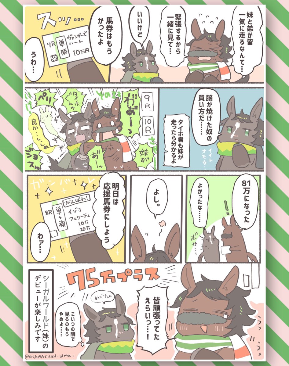 #2025年自分が選ぶ今年上半期の4枚
上半期もベリベリ良いレースばかりでした! 