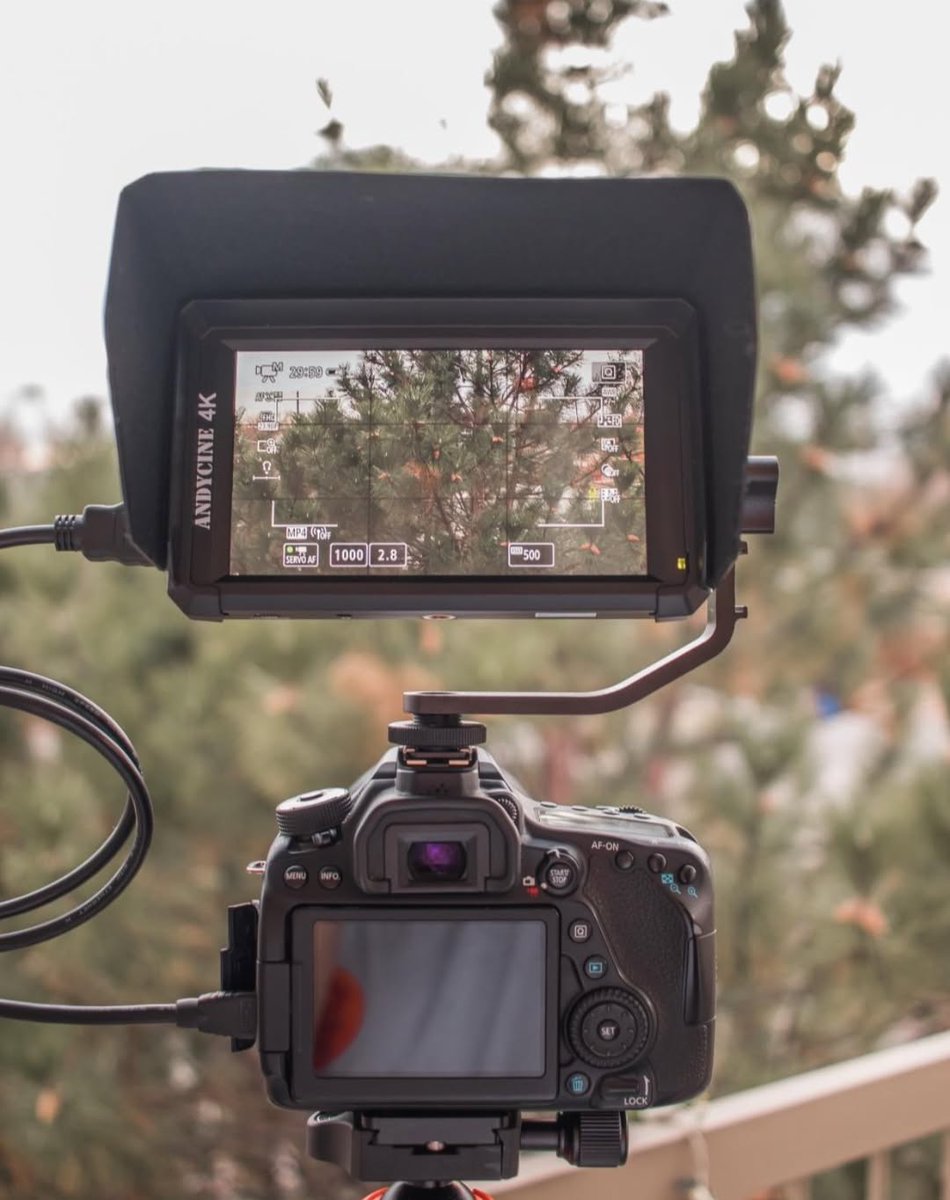 Andycinegear's tweet image. A6: Your go-to 6-inch monitor — solid build, fair price, and always getting better.
Check out the A6 field monitor: bitl.to/3PNG
#Andycine #A6 #CameraMonitor