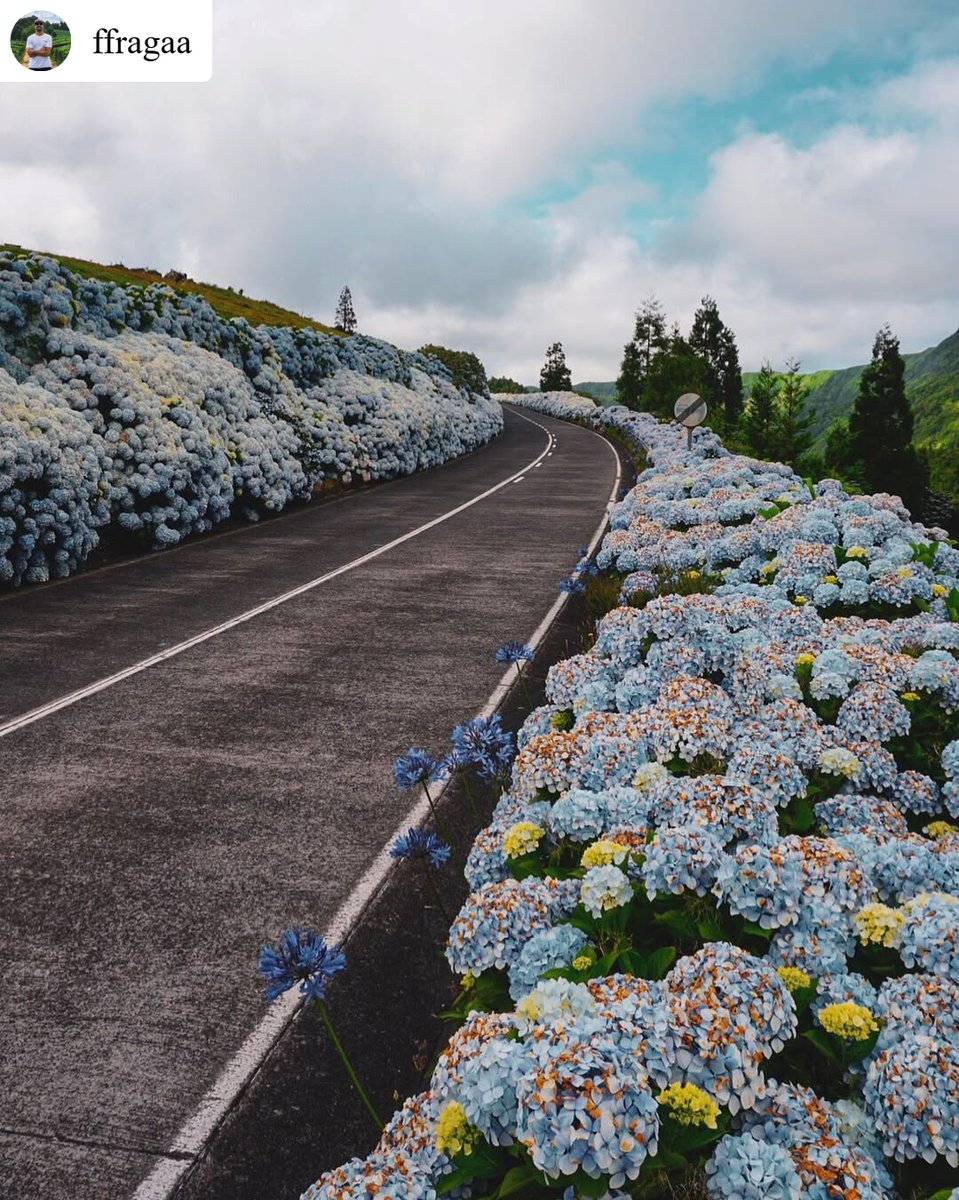 Verdadeiros postais ao vivo!

Real live postcards!
#visitazores #açores #azores