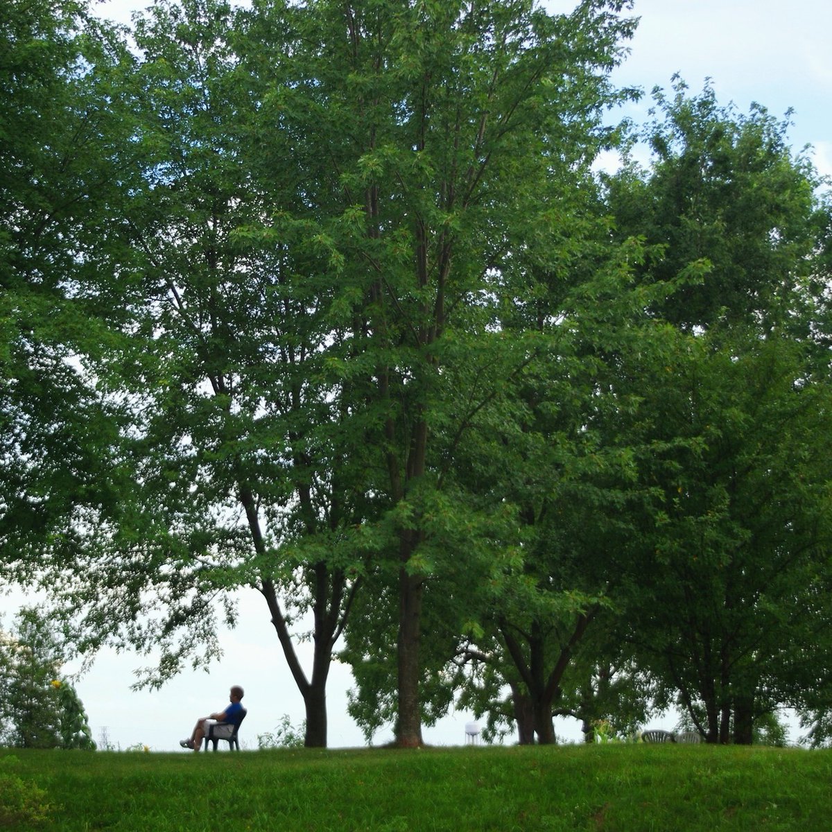 JesuitsofCanada's tweet image. "Silence is part of any relationship." — James Martin, SJ
This summer, step away from the noise and encounter God in stillness — at the Ignatius Jesuit Centre or any Jesuit retreat and spirituality centre.
hubs.la/Q03tXgZg0