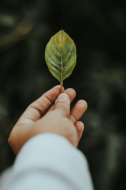 ✨👀 This #STEMTuesday, explore how Aussie bush kinders spark young minds through nature-based STEM learning—framed as a 5-phase cycle. A must-read for early ed innovators! 🌿🔍 #EarlySTEM #OutdoorLearning 🌿✨
Read here: link.springer.com/article/10.100…