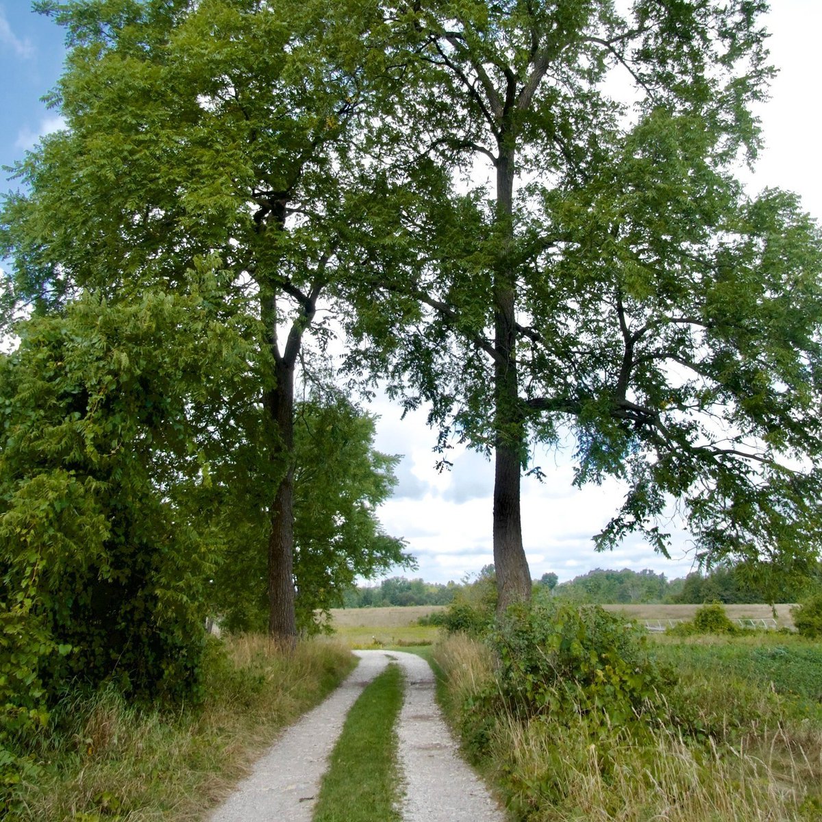 JesuitsofCanada's tweet image. "Silence is part of any relationship." — James Martin, SJ
This summer, step away from the noise and encounter God in stillness — at the Ignatius Jesuit Centre or any Jesuit retreat and spirituality centre.
hubs.la/Q03tXgZg0