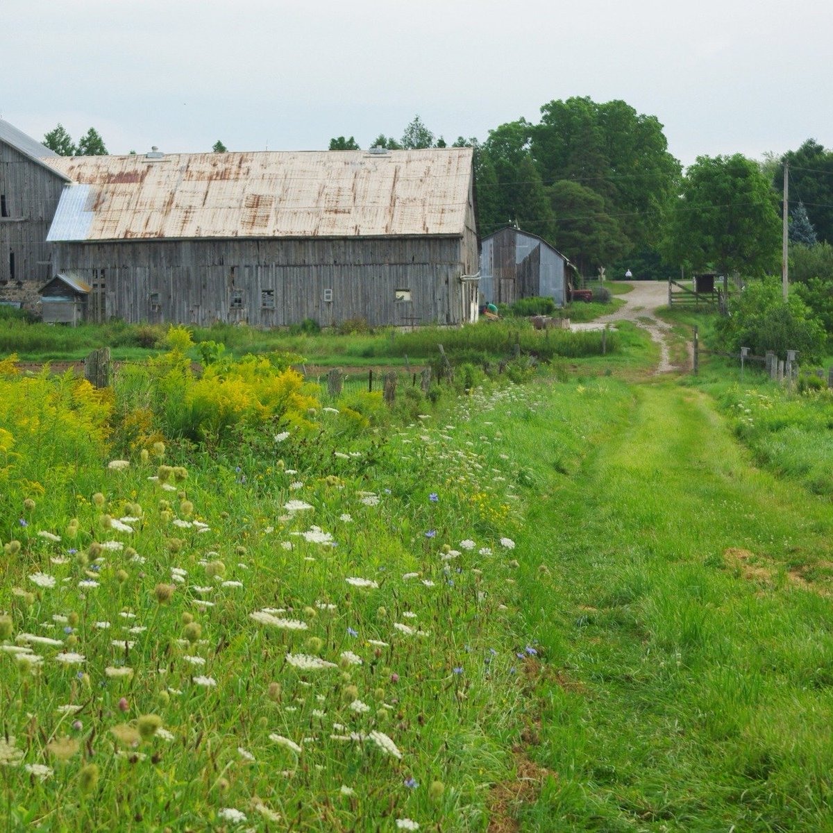 JesuitsofCanada's tweet image. "Silence is part of any relationship." — James Martin, SJ
This summer, step away from the noise and encounter God in stillness — at the Ignatius Jesuit Centre or any Jesuit retreat and spirituality centre.
hubs.la/Q03tXgZg0