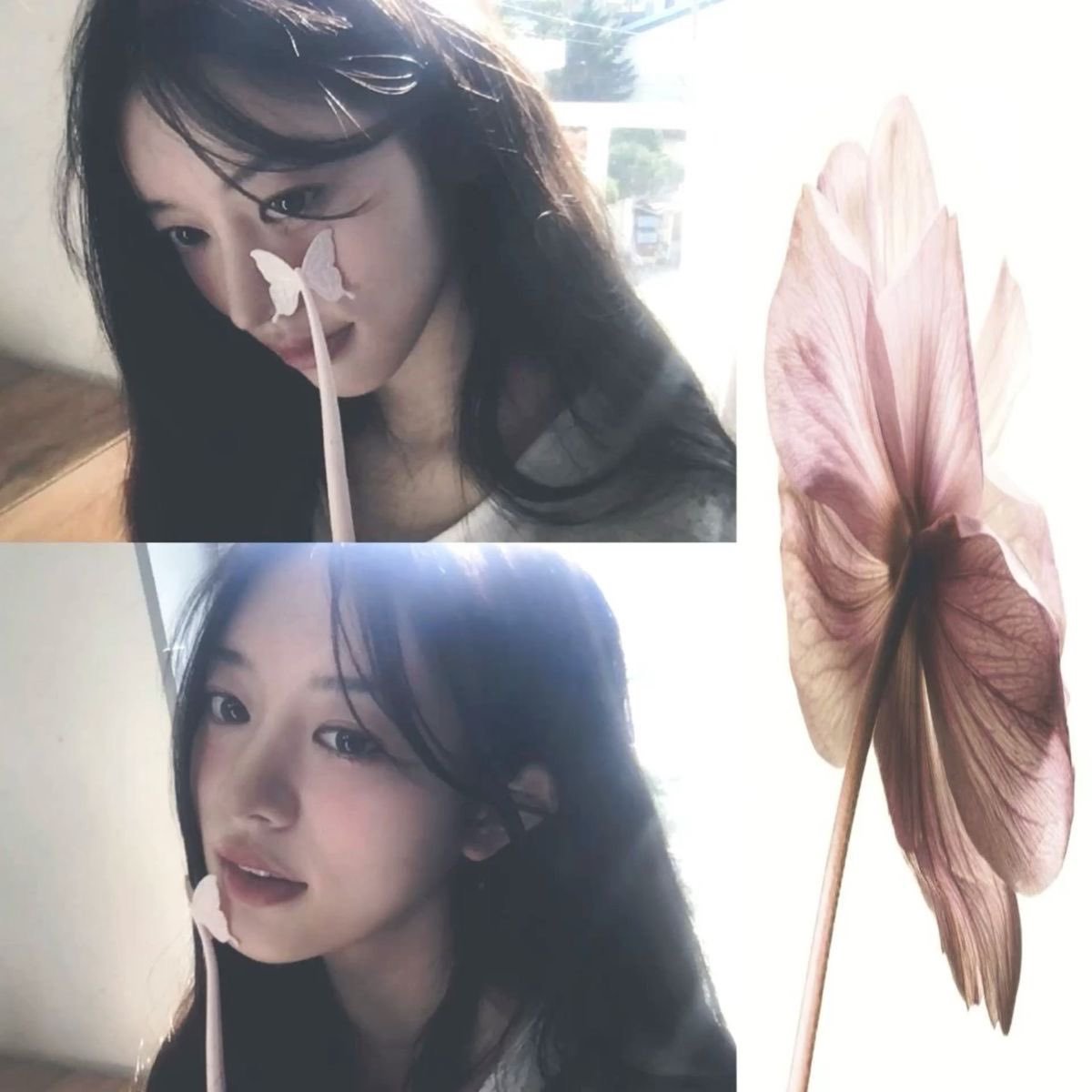 ️ ️

Good aftie you all, blooming flowers 🌷🤍
 ️