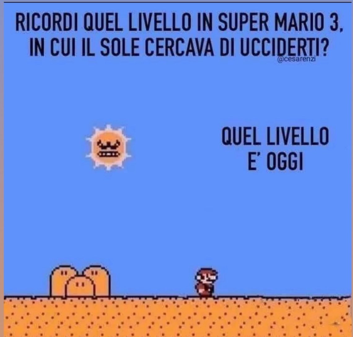 zombiepinscher's tweet image. Ecco