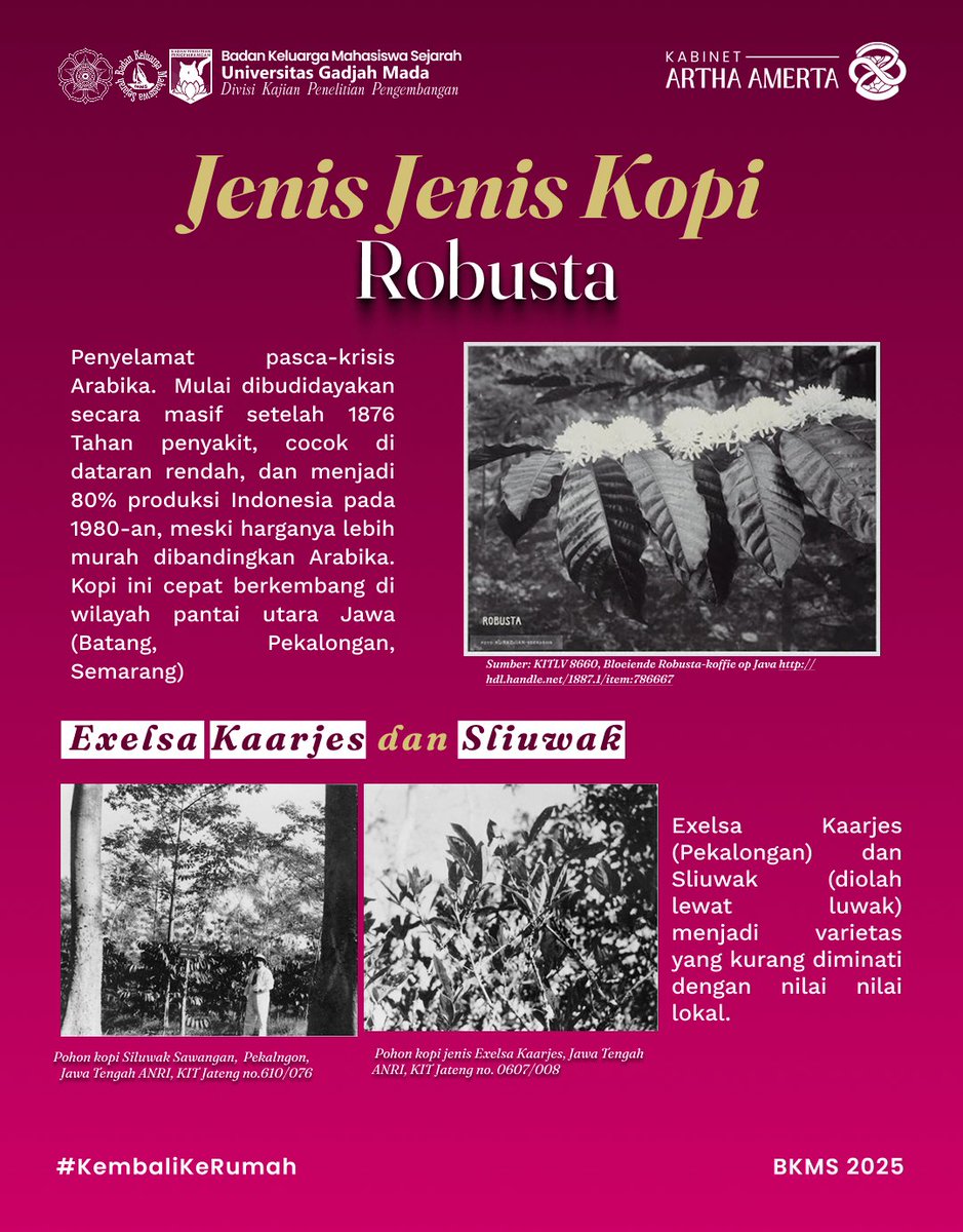 BKMS FIB UGM tweet media