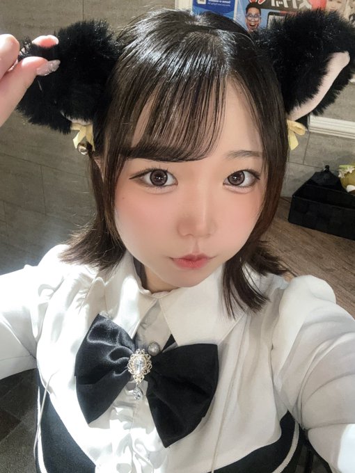 清楚な子猫ちゃんのcafe&barみゃおみゃおのツイート