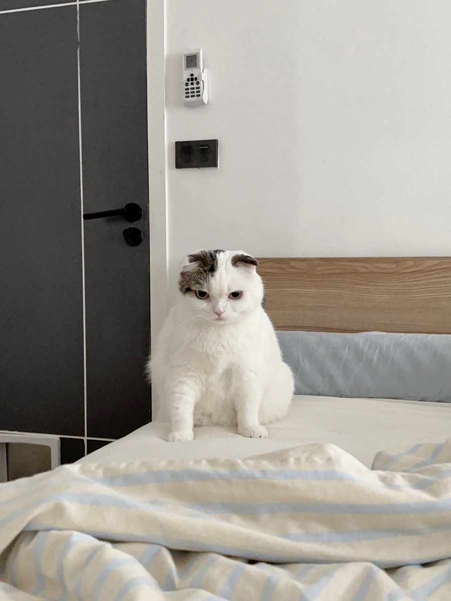 ยาใจรายวัน❌ โกรธพี่ชาวเน็ตไปวันๆ✅