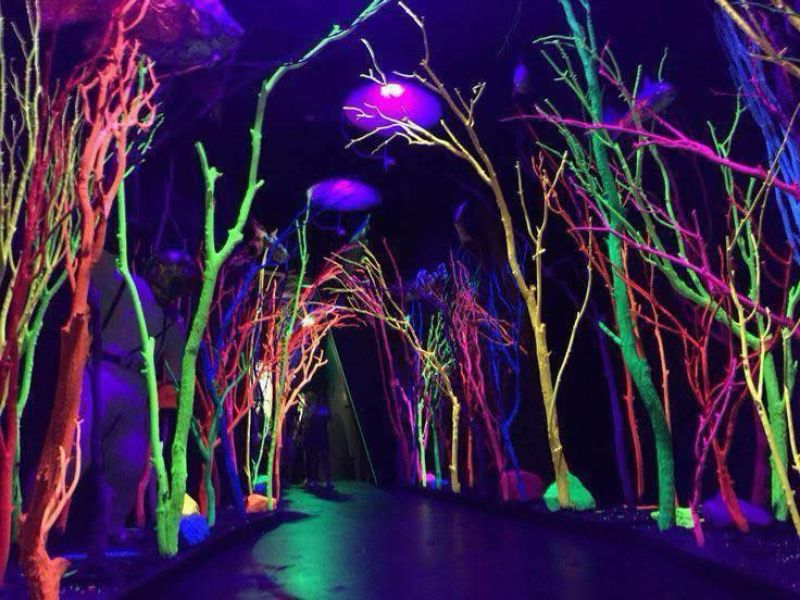 #EventsNewry WHAT'S ON: Summer at the Imaginarium Centre at Sticky Fingers/ The Imaginarium on 01-07-2025 10:00 am tinyurl.com/29olr6ss