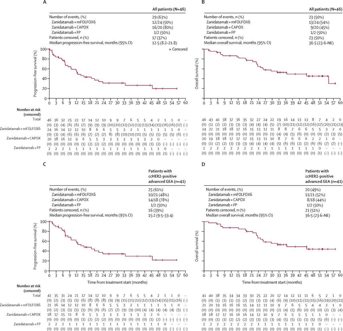 TheLancetOncol's tweet image. July issue: Zanidatamab plus chemotherapy as first-line treatment for patients with HER2-positive advanced gastro-oesophageal adenocarcinoma: primary results of a multicentre, single-arm, phase 2 study
thelancet.com/journals/lanon…