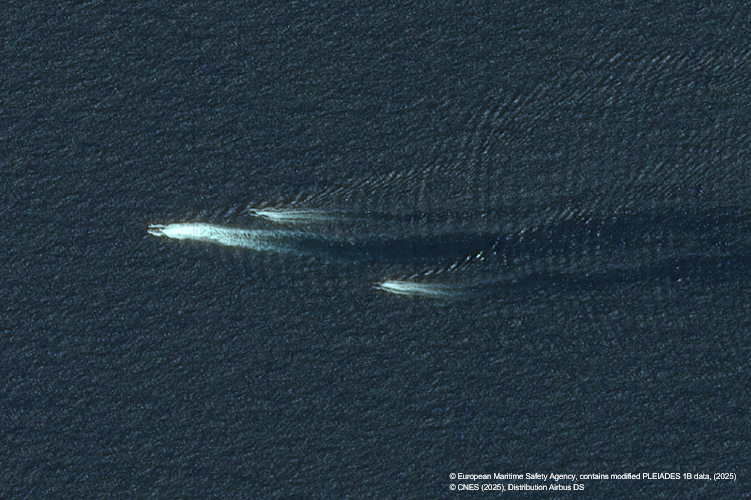 Copernicus Maritime Surveillance (@copernicuscms) on Twitter photo 🛰️<a href="/CopernicusCMS/">Copernicus Maritime Surveillance</a> Wake Detection Service (WDS) is a key tool that assists national authorities in detecting small vessels and determining their heading. 🛰️<a href="/CopernicusCMS/">Copernicus Maritime Surveillance</a> Wake Detection Service (WDS) is a key tool that assists national authorities in detecting small vessels and determining their heading.