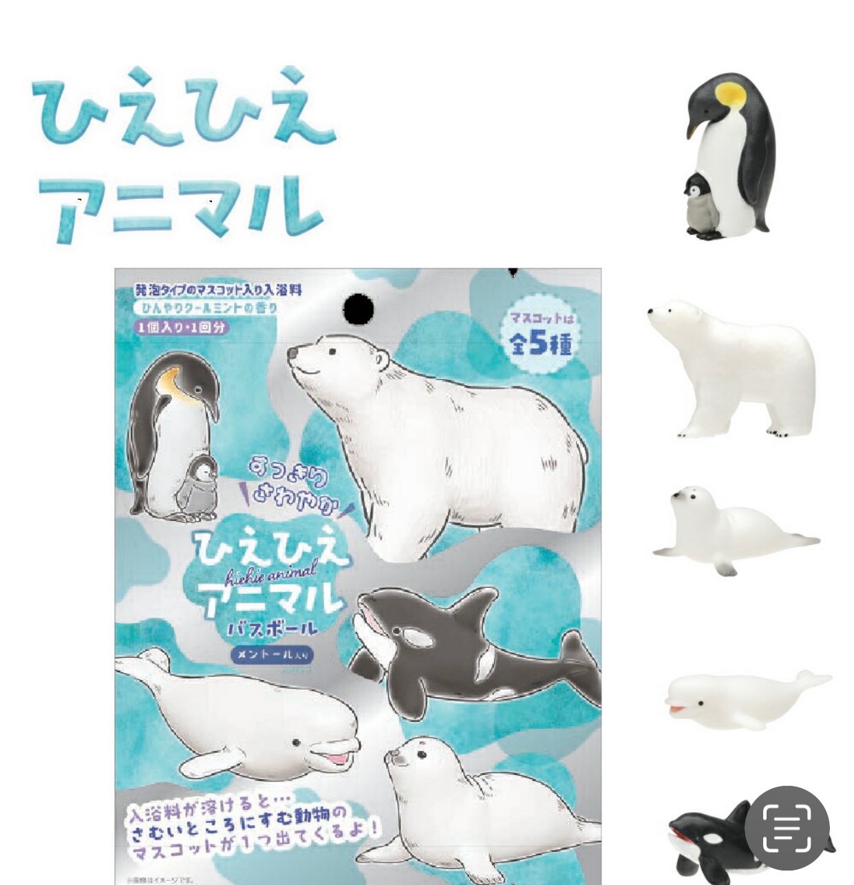 楽天市場】[公式] すみっコぐらし しろくま ドット ぺんぎん