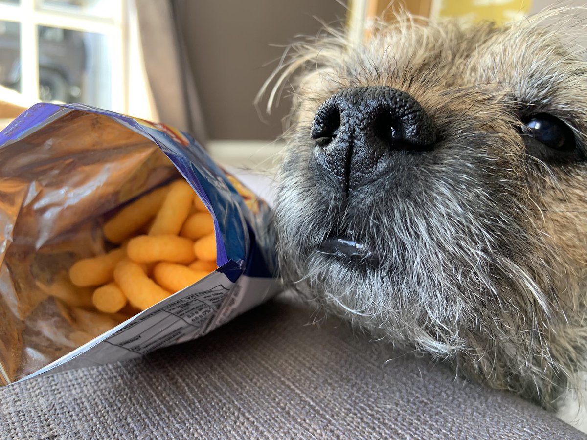 To celebrate our dear pal Scrappy please join us in #WotsitsForScrappy on Friday evening! Post your wotsits photos/videos and memories of the legend Scrappy Nelson  #BTPosse