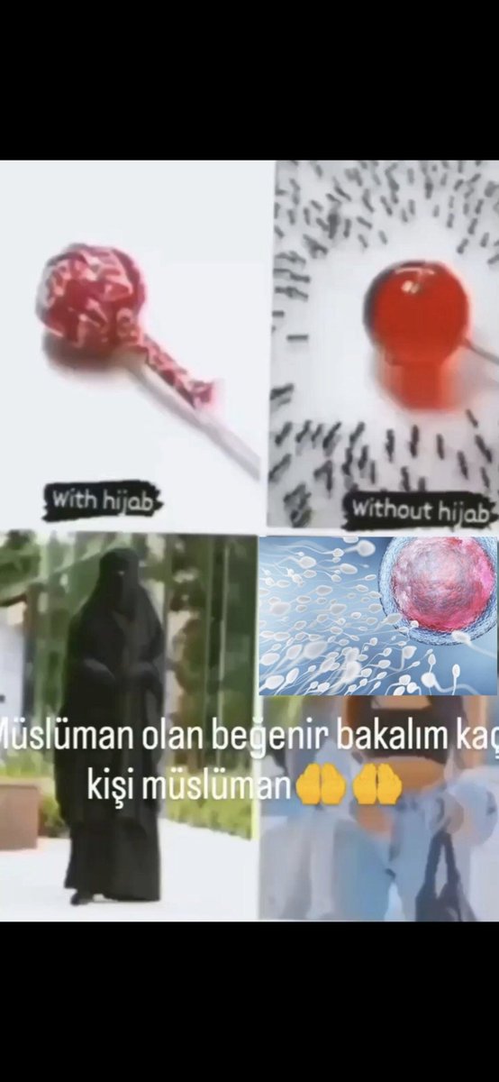 Şöyle bir bağlantı kurmuş gshxhsjshhssk. Allah seni eğitenlerin belasını versin