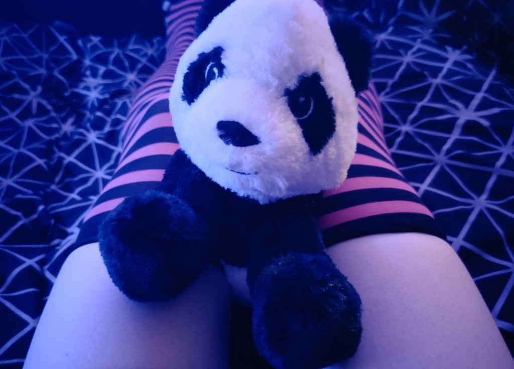 PandaThighs's tweet photo. Say Hi to panda! 🐼 https://t.co/VeTdOkACei