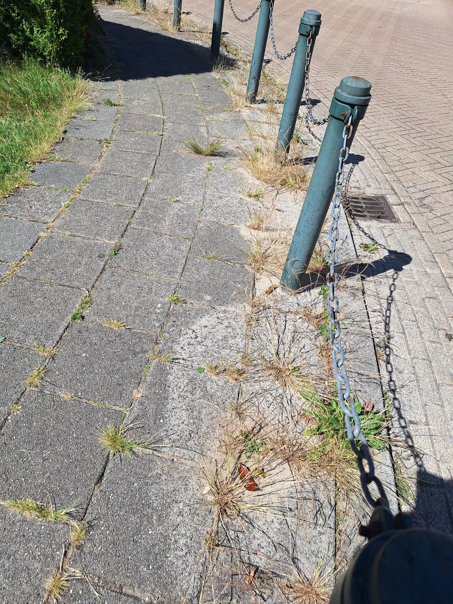 LBosklopper's tweet photo. Hoi @gemtwenterand,
Vorig jaar ook al eens onder de aandacht gebracht maar dit heeft blijkbaar niet geholpen.
Als inwoner van @gemtwenterand stoor ik me mateloos aan de wildgroei van onkruid op de stoepen, straatgoten en parkeerplaatsen (1/3). https://t.co/GBueVAHALA