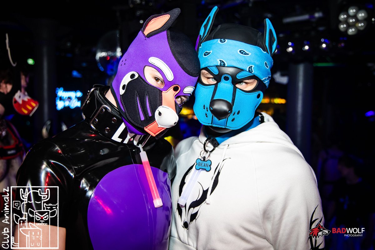 Just a couple of party animalz!

Care to dance with us~ 😏

📷 <a href="/BadWolfPhotos/">Bad Wolf Photography</a> 
➡️ <a href="/ClubAnimalz/">Animalz</a> 
🐶 <a href="/Pup_Lyor/">Pup Lyor</a>