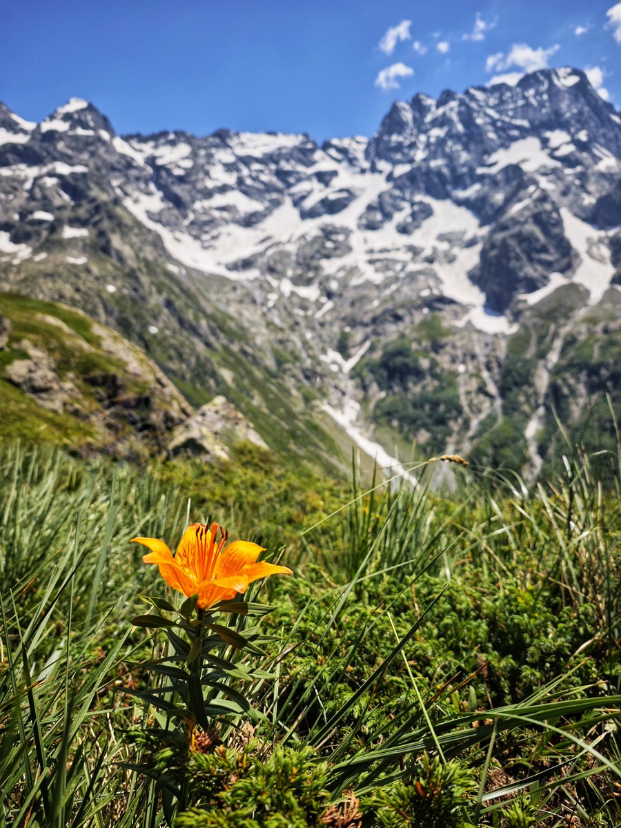 altimood's tweet image. Et si on s’offrait une petite pause fraîcheur pour le déjeuner ?

Courage à tous ceux qui bossent au bureau aujourd&apos;hui ! 🌿🥗