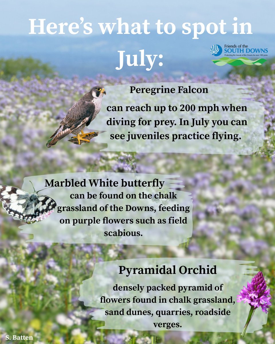 Welcome July! And what a hot one it is already 😅  We are looking forward to our upcoming events, especially our online Q&amp;A with <a href="/robsonpeisley/">Robson Peisley</a> 
next week! Keep those bookings coming in 🌞  Link in bio to these events!
ticketsource.co.uk/friends-of-the…