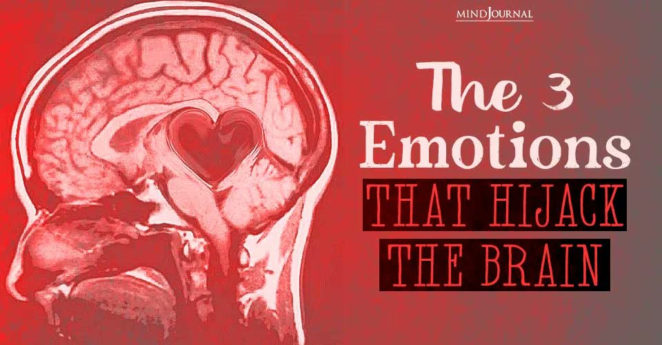 These 3 emotions have the power to override logic, cloud judgment, and control your actions—before you even realize it.🧠💥
👉themindsjournal.com/emotions-that-…

#EmotionalHealth #PsychologyFacts #MindControl #MentalClarity #TheMindsJournal
