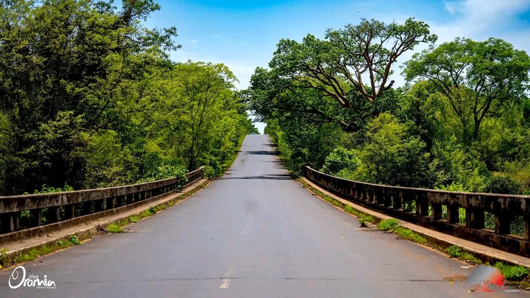 VisitOromia's tweet photo. Imala keenya gara Oromiyaa Lixaatiin as geenyeerra!
Bakki kun maal jedhama? Eessatti argama?
Yaadannoo addaa qabduu? Nuuf qoodaa!
Ethiopia Land of Origins
#ethiopiasabundance #visitOromia #LandOfOrigins #Ethiopia #Oromia #Welega #WesternRoute #OromiaTourism https://t.co/EeWeIn1LDU
