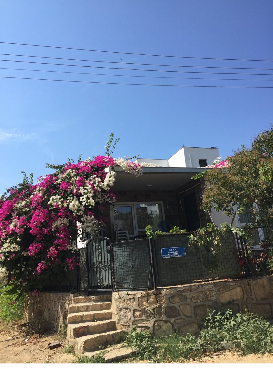 Küçük güzeldir 💞