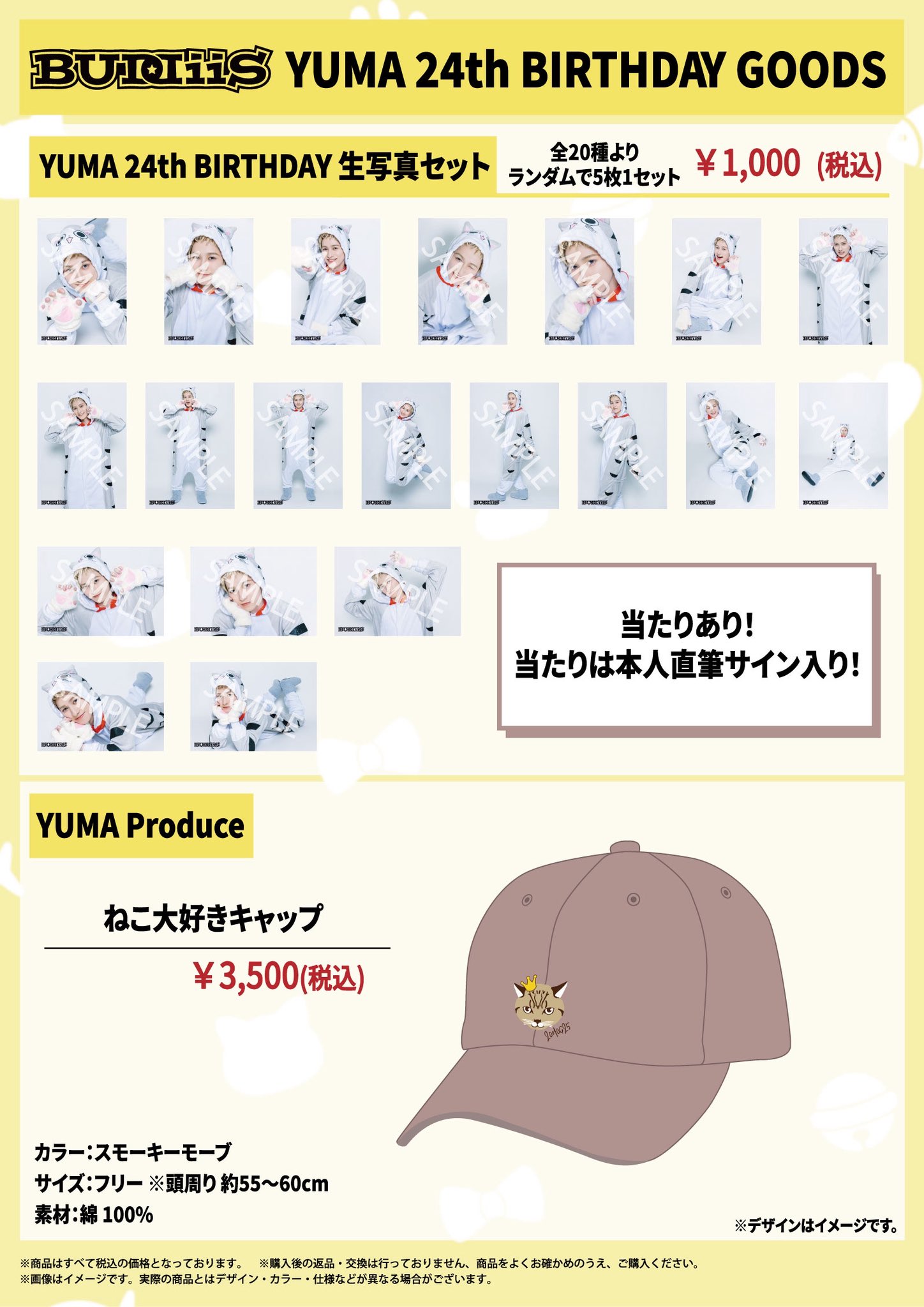 BUDDiiS専用出品 ダンドリビス 極細ビス 極細15頭小十字穴ビット無 V-GSC015-AX