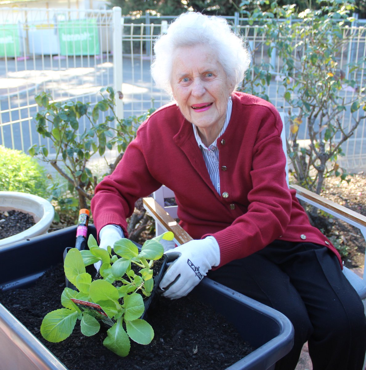 Resthaven Inc tweet media