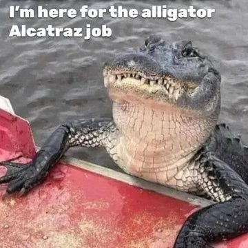 <a href="/PapiTrumpo/">il Donaldo Trumpo</a> Lots of applicants !!  🧊🧊🐊